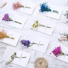 2pcs Realistic Baby's Breath Flower Greeting Cards, Natural Preserved Fresh Flower Bouquet Cards, Handmade Birthday/Valentine's Day/Mother's Day Stationery, Mini Floral Cards For Various Occasions, Exquisite Dried Flower Gift Box With Breathing Bouquet, Blank Note Cards Suitable For Birthday, Wedding, Graduation Gifts - Sets - View 2
