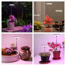 Paquete de 2 luces LED de espectro completo para plantas de interior - 9 modos regulables - temporizador automático - altura ajustable - 3 espectros opcionales - 10 niveles de brillo - ideal para plantas pequeñas - tubo flexible - Ver 4