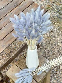 60/120/240支波西米亚风人造花 - 兔尾芦苇草 - 多色，蒲公英花 - 家居、婚礼、办公室、咖啡厅装饰 - 情人节和母亲节礼物 - 灰色 - 查看 2