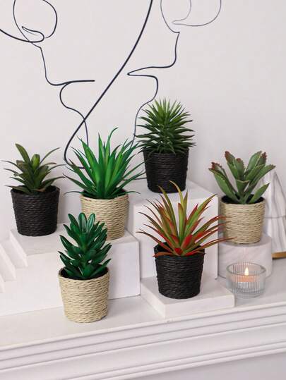 3pcs/Set Artificial Mini Succulent Tropical Plant Pot Set, White Straw-Woven Pot, 6.5 Cm / 2.55 Inches In Diameter, Adorned With Seaweed Rope, Made Of PE Material. Perfect For Desk Decor, Student Dorms, And Office Accents. These Artificial Potted Plants Are Also Ideal For Home Decor, Landscaping, Party/Holiday Decorations, And Birthday Party Decorations.
