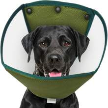Collar isabelino suave para perros, cono de recuperación ajustable para mascotas para protección post-cirugía, adecuado para procedimientos de esterilización/castración de perros machos y hembras - Ver 8