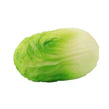 新款蔬菜卷心菜造型慢回弹玩具，超柔软挤压减压慢回弹玩具，可爱解压玩具 - 小白菜 - 查看 6