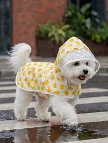 LUCKIE PAL 1pc Waterproof Raincoat With Cute Duck Print, Suitable For Chihuahua Small Dogs, Pet Rainwear For Cats And Dogs Going Out In Rainy Days - Multicolor - View 3