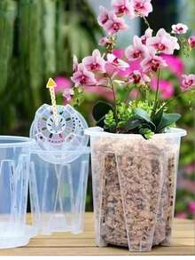 5 Packs Classic Round Transparent Orchid Pots, Breathable Plastic Flower Pots With Drainage Holes For Indoor Outdoor Garden - High-transparency Flower Pots - View 1