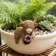 Scottish Highland Cow Resin Sculpture Set - Figurine With Cup And Book, Rustic Home Decor/Outdoor, Great Gift For Coffee Lovers, Detailed Resin Cow Sculpture (Brown/White Cow Pattern) Christmas Decoration, Highland Cow Gift, Suitable For Home Desktop, Room, Office, Living Room, Balcony, Garden - Multiple Styles - View 5