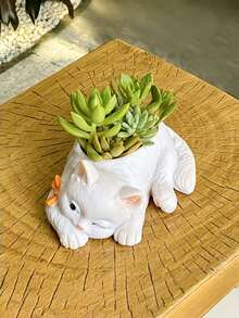1个卡通睡猫花盆，树脂材质，适用于家居客厅、书桌、玄关装饰，创意家居户外花园多肉植物盆栽 - C - 查看 3