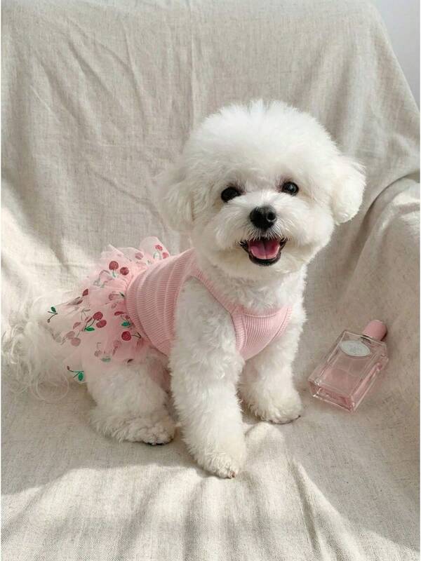 Pink Cherry Print Princess Dog Tutu Dress, Soft Sleeveless Puppy Outfit For Small Dogs Girl, Cute Tulle Skirt Pet Apparel For Daily Wear And Special Occasions