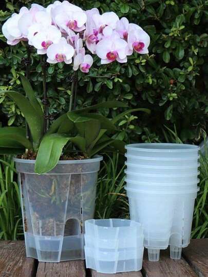 Self-Watering Orchid Pots, Root Regulation, Breathable With Drainage Opening, White Transparent Exclusive Pot, 3pcs Resin Indoor/Outdoor Suitable For Planting - Round Design, Includes Other Components, Self-Watering Function