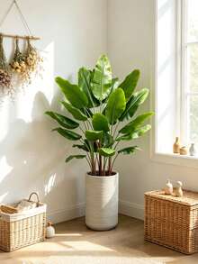 Kmitang Cây chuối nhân tạo lớn 75cm, cây cọ giả, cây Monstera nhiệt đới giả, cành chuối nhựa, lá Strelitzia xanh dùng trang trí nhà cửa, sân vườn, tiệc cưới, ngoài trời (không kèm chậu). 1 cây. - màu xanh lá - Xem 6