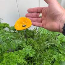 新款蜜蜂饮水站 蝴蝶搅拌器 蜂鸟饮水杯 - 多色 - 查看 5