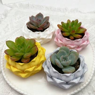 1pc Lotus Shaped Flower Pot, Creative Cactus Planter, Lightweight. Suitable For Succulents, Bonsai And Small Plants. Perfect For Indoor Windowsill & Desktop Decor, Ideal Gift For Friends And Yourself