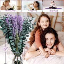 575 Pcs 17" Natural Dried Eucalyptus & Lavender Bundle, Boho Wedding Shower Decor, Bathroom Essentials, Dried Flowers For Summer Home Decor, Graduation Housewarming Gift - 5 Bundles (575Pcs) - View 6