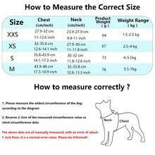DomKim Anti-Pull Reflective Dog Harness & Leash Set, Escape-Proof Cat Harness With 1.5m Leash, Adjustable Breathable Mesh Pet Vest, Night Reflective Strip, Suitable For Small And Medium Dogs & Cats Outdoor Walking - Blue - View 4