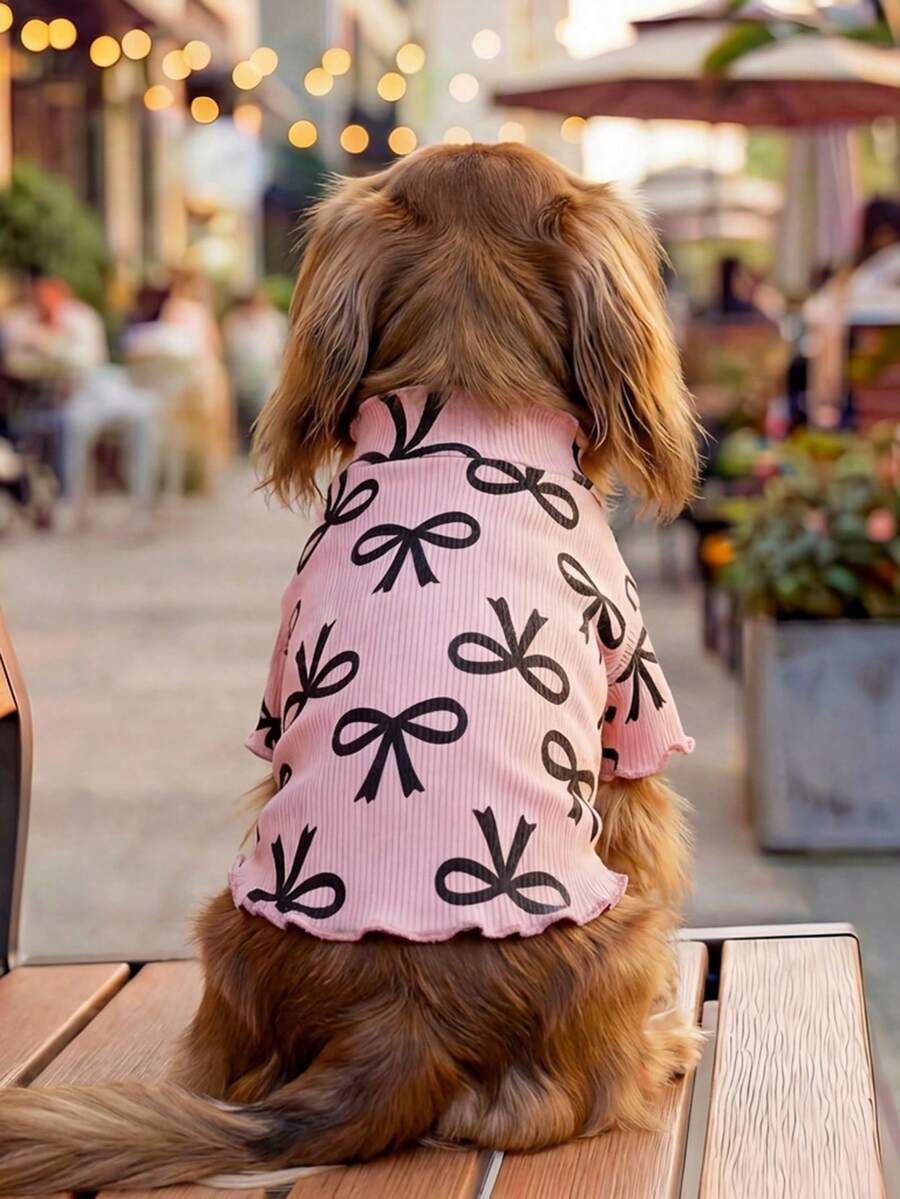 PETCIRCLE 1件宠物服装,室内外皆宜,欧美韩风,适合贵宾犬、泰迪犬、小型犬和幼犬,休闲舒适毛衣配领结,适合情人节。 - 彩色 - 查看 1