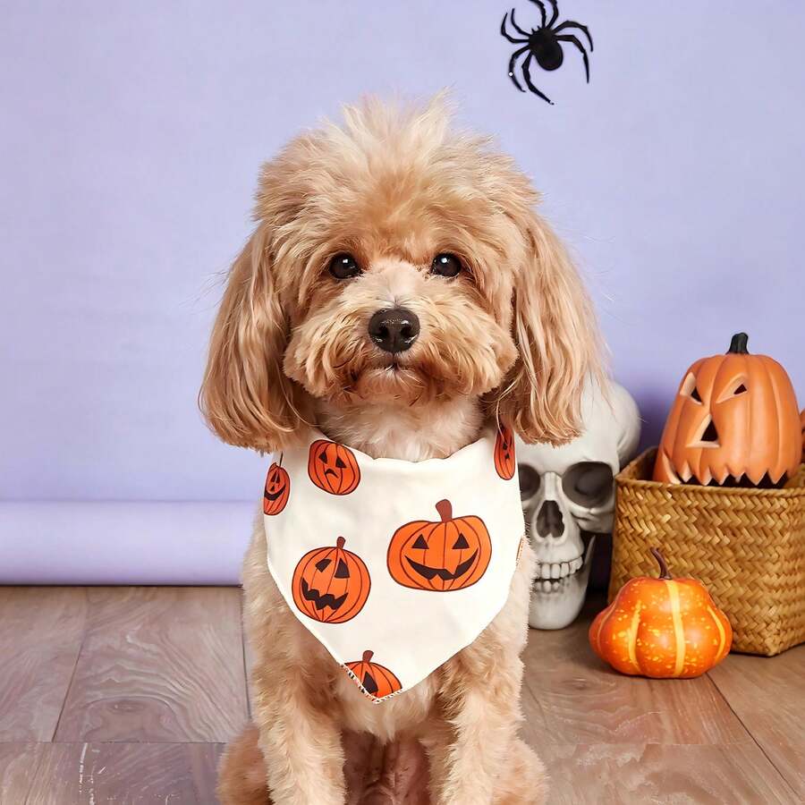 Bandana Impresa Con Calabazas Y Telarañas Para Halloween - Blanco - Ver 1
