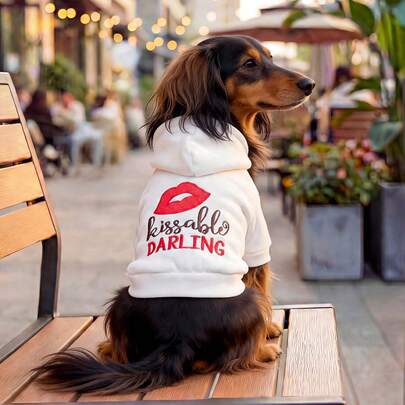 PETCIRCLE 1 bộ quần áo cho thú cưng, trang phục ngoài trời và trong nhà, kiểu dáng Châu Âu và Hàn Quốc dành cho chó Poodle, Teddy, chó nhỏ và chó con, áo hoodie thoải mái thường ngày, món quà đáng yêu cho ngày Valentine.