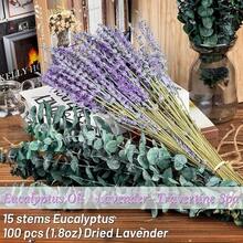 575 Pcs 17" Natural Dried Eucalyptus & Lavender Bundle, Boho Wedding Shower Decor, Bathroom Essentials, Dried Flowers For Summer Home Decor, Graduation Housewarming Gift - 5 Bundles (575Pcs) - View 3