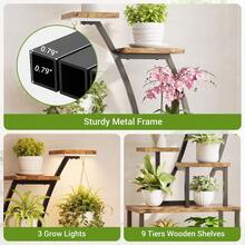 Display Pedestals - Single - View 3