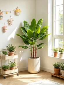 Kmitang Cây chuối nhân tạo lớn 75cm, cây cọ giả, cây Monstera nhiệt đới giả, cành chuối nhựa, lá Strelitzia xanh dùng trang trí nhà cửa, sân vườn, tiệc cưới, ngoài trời (không kèm chậu). 1 cây. - màu xanh lá - Xem 5