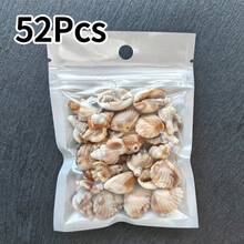 25/52个亚克力贝壳，图案独特，DIY手工材料，可用于制作手链、项链、耳环、珠宝配件、鱼缸装饰，经久耐用 - 彩色 - 查看 10