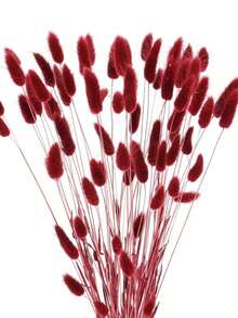 60/120/240pcs Bohemian Style Artificial Flowers - Bunny Tail Pampas Grass - Multi-Color, Dandelion Flowers - Home, Wedding, Office, Cafe Decor - Valentine's Day And Mother's Day Gifts - Red - View 3