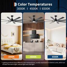 Picture & Display Lighting - Black - View 3
