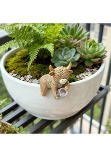 1 pieza Maceta con forma de vaca de las tierras altas, diseño de taza de cerveza de vaca de las tierras altas, adecuada para decoración de patio, césped, jardín interior/exterior de todas las estaciones, decoración de borde de planta en maceta, pequeña decoración de jardinería de balcón exterior - A - Ver 5