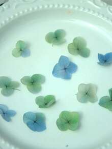 100/200/500/1000pcs Hoa Cẩm Tú Cầu Nhân Tạo Đa Màu - Hoàn Hảo Cho Thủ Công DIY, Nến, Đám Cưới, Đồ Thủ Công, Giáng Sinh - Độ dốc xanh lam-xanh lục - Xem 2