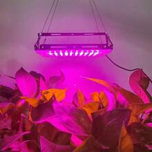 Bộ đèn chiếu sáng 96 LED hỗ trợ tăng trưởng cây trồng, có giao diện USB, giúp cây phát triển và ra hoa, thích hợp cho gieo hạt, cây mọng nước, cây cảnh trong nhà, chiếu sáng bổ sung cho cây trồng tại gia. - hồng - Xem 4