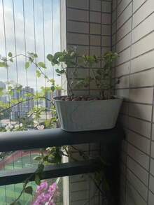 2/1個鐵製花盆,可懸掛且易於移動。適合種植多肉植物、小型盆栽植物、季節性花卉如草莓,也可用於展示人造植物。適合花園、露台和房間裝飾。 - 隨機款式 - 查看 6
