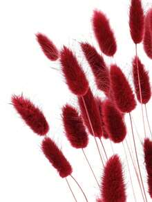 60/120/240pcs Bohemian Style Artificial Flowers - Bunny Tail Pampas Grass - Multi-Color, Dandelion Flowers - Home, Wedding, Office, Cafe Decor - Valentine's Day And Mother's Day Gifts - Red - View 2