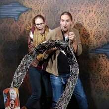 搞笑恶搞玩具，减压玩具 - 彩色 - 查看 2