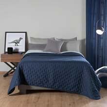 Novo Lightweight Reversible Comforter + 2 Free Pillows – Comfort And Style In One Combo BEAUTTY HOME - Jurassic - View 7