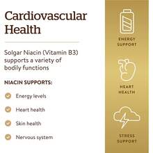 Solgar Niacin (Vitamin B3), 100 Mg, 100 Vegan Tablets - 100 count - 查看 4