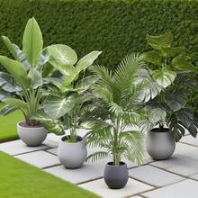 4件套 - 免维护人造大叶植物组合 - 散尾棕榈树 | 常绿发财树人造植物 | 常绿盆栽，婚礼花园现代装饰，花园美化 | 场景绿化布置 | 家居办公室装饰，北欧风格仿真树，适合室内/室外 - 适用于婚礼季、毕业典礼、生日、派对、周年纪念、乔迁等各种场合装饰，四季常绿人造植物。不含花盆。 - 濃鬱的綠色 - 查看 3