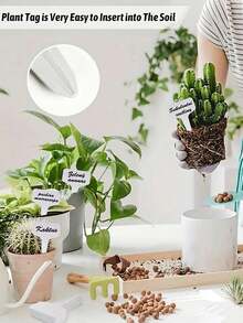 50个白色T型植物标签，花园植物标记，防水户外园艺植物标签，适用于盆栽植物 - 多色 - 查看 9