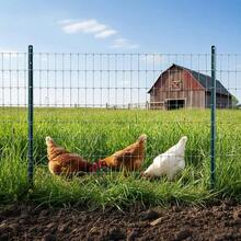 Minifactory Green Metal Fence Posts 4FT & 5FT, 10 Pack Rust-Resistant Steel U Posts For Wire Fencing, Chicken Coops, Yard Borders, No Dig Design - 5ft - View 7