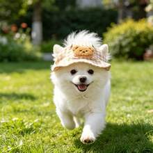 BVEOYPET Cute Bear Ear Pet Bucket Hat, With Ear Holes Design, Adjustable Chin Strap, Sun Protection, Breathable & Comfortable, Suitable For Dogs & Cats Outdoor Use - Multicolor - View 3