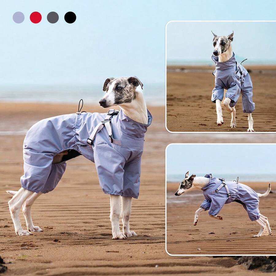 Impermeable para perros con tiras reflectantes y orificio para correa, chaqueta para mascotas de una sola pieza fácil de usar para exteriores, esencial para perros pequeños/medianos, se recomienda pedir 1-2 tallas talla grande grandes para los que no son elásticos