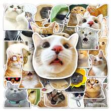 50 piezas Pegatinas lindas de gato, pegatinas adorables de mascotas para fundas de teléfono, pegatinas impermeables para útiles de oficina y escolares, pegatinas decorativas DIY, pegatinas con temática de dibujos animados y anime para portátil, equipaje, botella de agua, guitarra - Multicolor - Ver 6