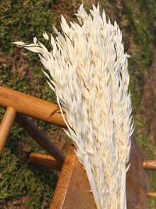 15/30/60pcs Artificial Oat Flower Bouquet, Suitable For Wedding, Christmas Decoration, DIY Home Decor - White - View 2