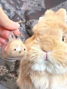 1pc Cute Transparent Rabbit Fur Storage Box, Rabbit Fur Collection, Pet Hair Memorabilia, Keychain Pendant, Pet Lover Creative Memorial Gift, Anime Keychain, Women's Keychain, Car Keychain, Halloween Gift, Christmas Gift Gifts For Mother, Father, Graduation, And Teacher - Multicolor - View 1