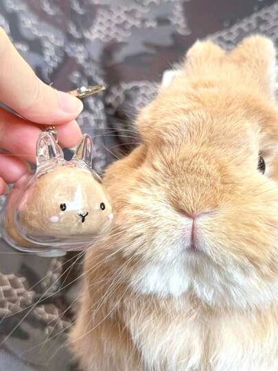 1pc Cute Transparent Rabbit Fur Storage Box, Rabbit Fur Collection, Pet Hair Memorabilia, Keychain Pendant, Pet Lover Creative Memorial Gift, Anime Keychain, Women's Keychain, Car Keychain, Halloween Gift, Christmas Gift