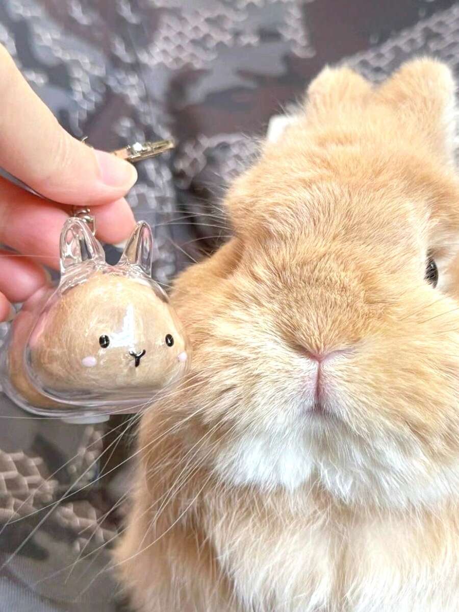 1pc Cute Transparent Rabbit Fur Storage Box, Rabbit Fur Collection, Pet Hair Memorabilia, Keychain Pendant, Pet Lover Creative Memorial Gift, Anime Keychain, Women's Keychain, Car Keychain, Halloween Gift, Christmas Gift Gifts For Mother, Father, Graduation, And Teacher - Multicolor - View 1