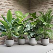 4件套 - 免维护人造大叶植物组合 - 散尾棕榈树 | 常绿发财树人造植物 | 常绿盆栽，婚礼花园现代装饰，花园美化 | 场景绿化布置 | 家居办公室装饰，北欧风格仿真树，适合室内/室外 - 适用于婚礼季、毕业典礼、生日、派对、周年纪念、乔迁等各种场合装饰，四季常绿人造植物。不含花盆。 - 濃鬱的綠色 - 查看 4