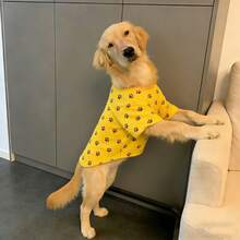 1pc Golden Retriever Paw Print T-Shirt, Loose Fit, Designed Specifically For Large Dogs Like Golden Retriever, Labrador, Samoyed, Husky, Border Collie, Alaskan Malamute, Casual And Print Design, Suitable For Spring, Summer And Autumn - Yellow - View 3