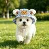 Pet Accessories
