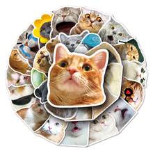 50 piezas Pegatinas lindas de gato, pegatinas adorables de mascotas para fundas de teléfono, pegatinas impermeables para útiles de oficina y escolares, pegatinas decorativas DIY, pegatinas con temática de dibujos animados y anime para portátil, equipaje, botella de agua, guitarra - Multicolor - Ver 5