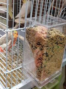 1pc Transparent Automatic Bird Feeder, Made Of Organic Glass (PMMA) Material, Can Be Hung On Bird Cage, Battery-Free Operation, Splash-Proof Design, Suitable For Parrots And Medium-Sized Birds - one-size - View 4