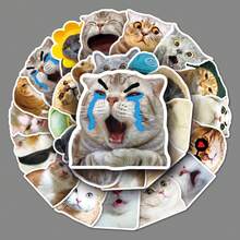 50 piezas Pegatinas lindas de gato, pegatinas adorables de mascotas para fundas de teléfono, pegatinas impermeables para útiles de oficina y escolares, pegatinas decorativas DIY, pegatinas con temática de dibujos animados y anime para portátil, equipaje, botella de agua, guitarra - Multicolor - Ver 2